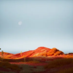 Grass Landscape Moonlight Wallpaper