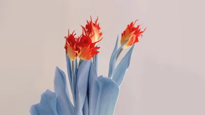 Red flowers Aesthetic Wallpaper