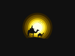 Camels Sun Wallpaper