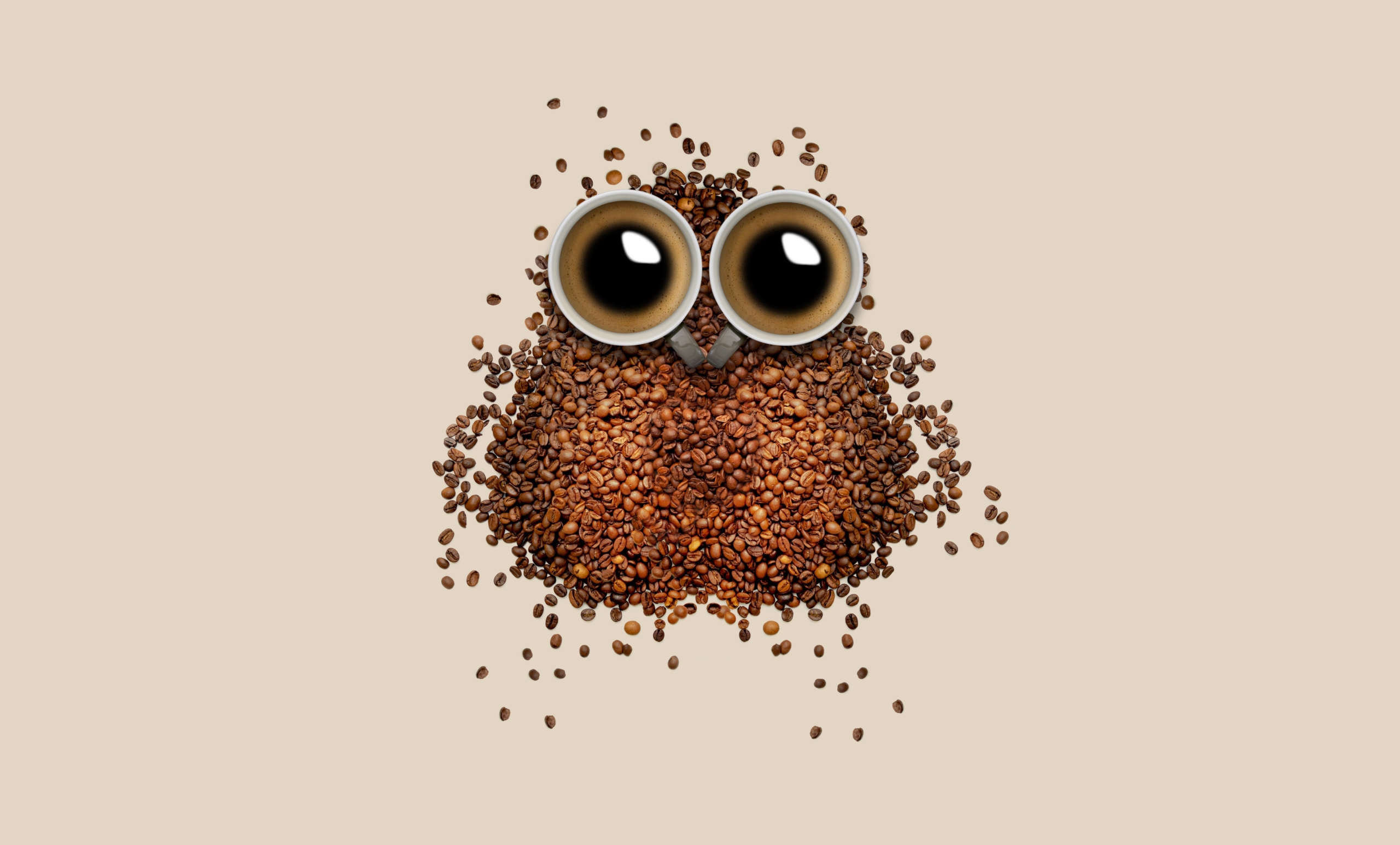 Coffee beans Owl Wallpaper