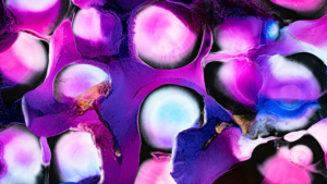 Purple abstract Fluid art Wallpaper