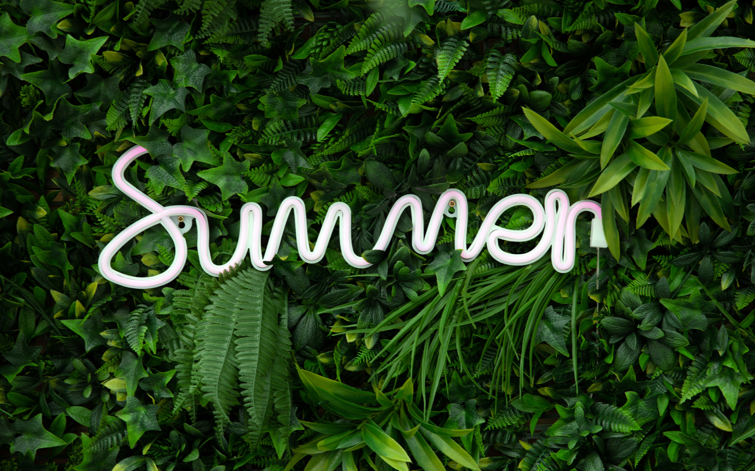 Summer Neon sign Wallpaper