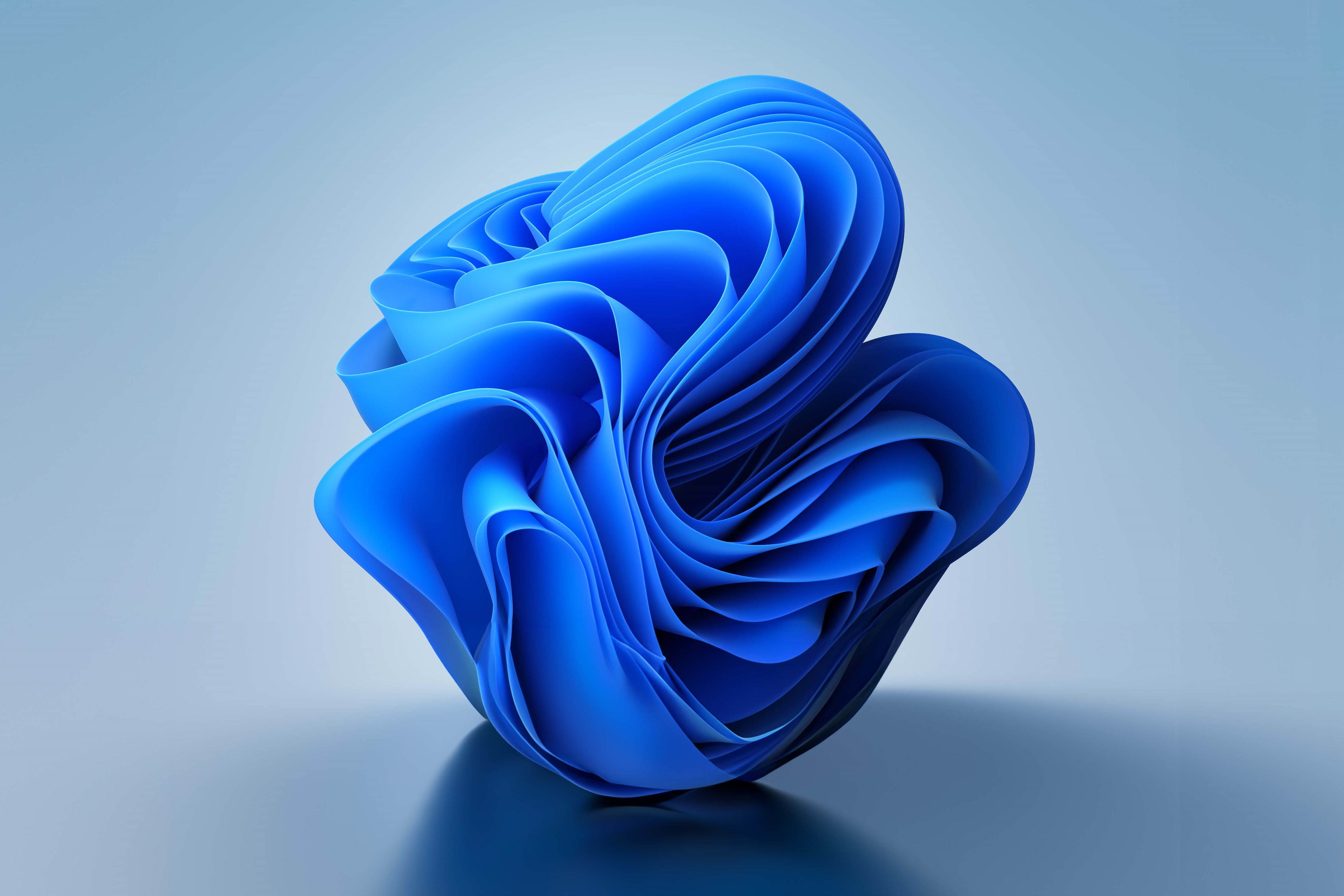 Bloom Windows 11 Wallpaper