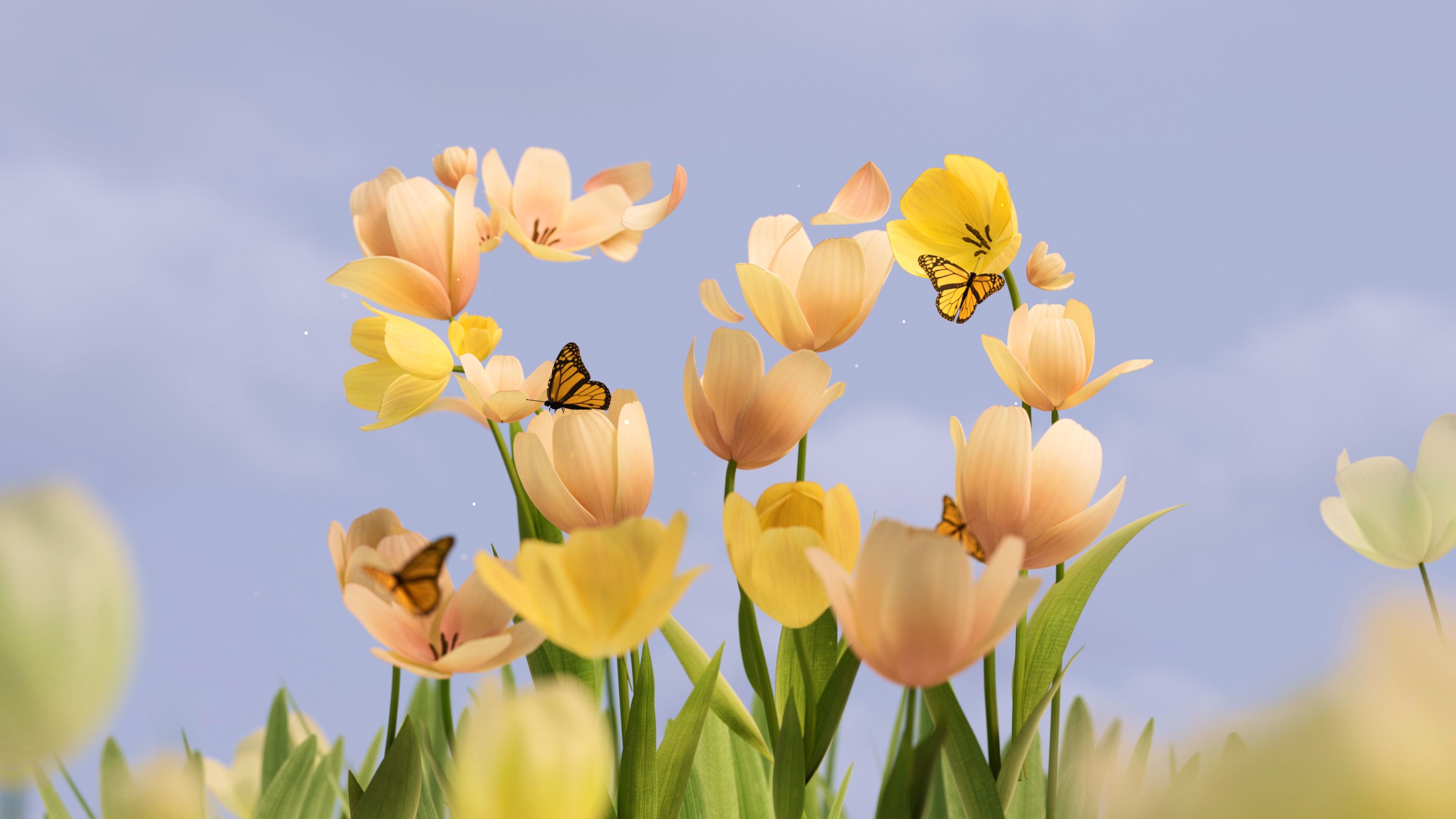 Microsoft 50th Anniversary Wallpaper