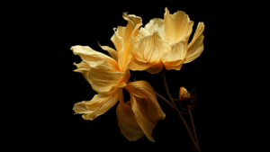 Yellow flowers Digital render Wallpaper