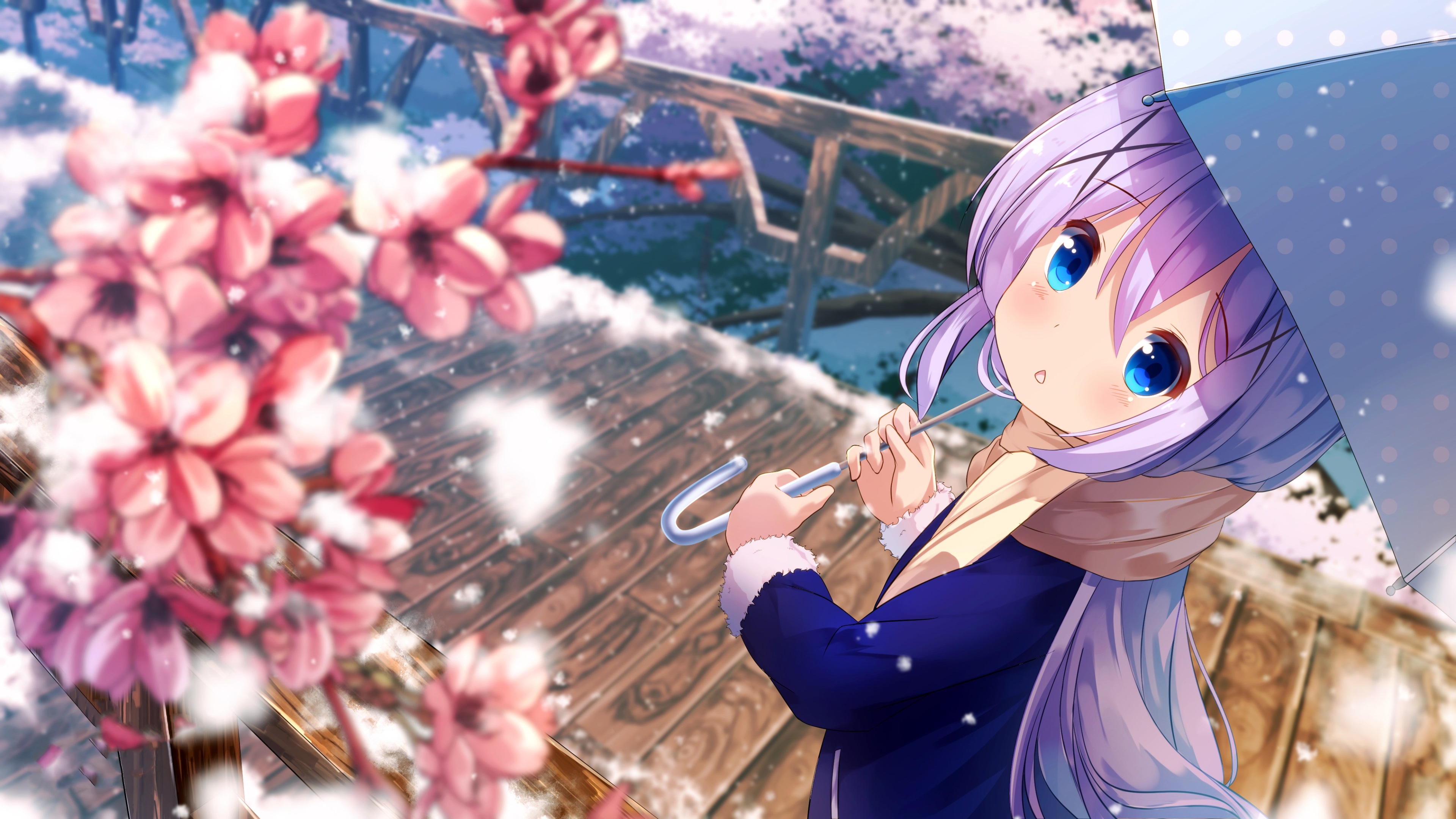 Chino Kafuu Anime girl Wallpaper